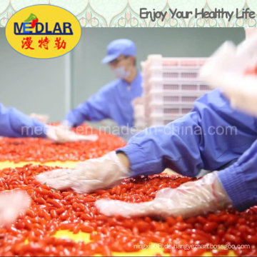 Medlar Dired Goji Berry stammte von Ningxia